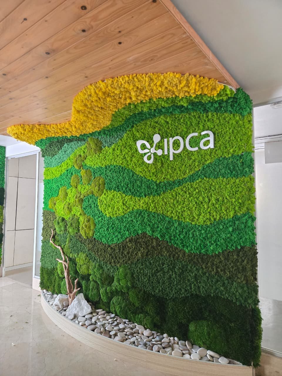 Designer preserved-moss wall with logo, IPCA corporate office