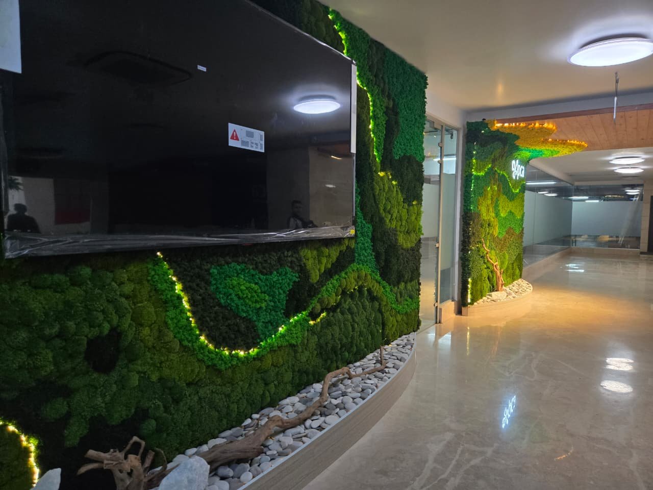 IPCA office moss wall lit at night