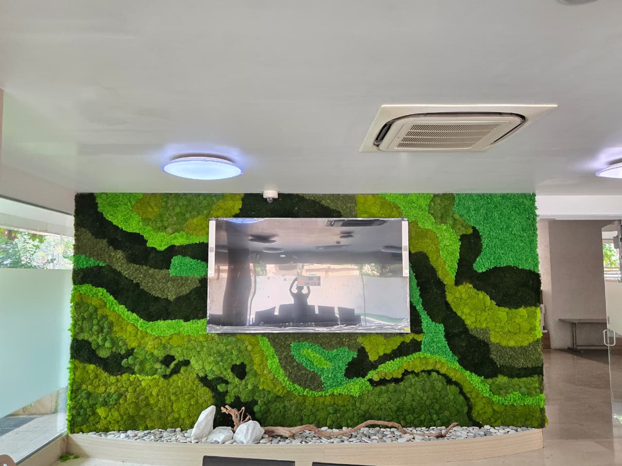 Maintained preserved-moss feature wall