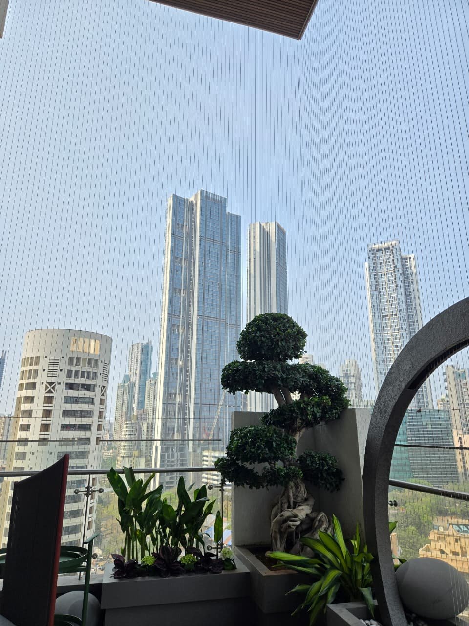 Sculpted bonsai on a high-rise balcony overlooking the Mumbai skyline